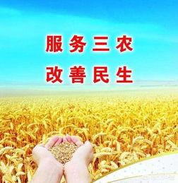 三农头条视频如何制作,农业现代化进程中的创新与挑战